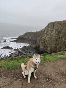 Even Malory is puffed.